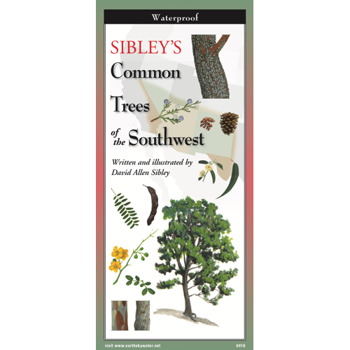 Sibley's Common Trees of the Southwest