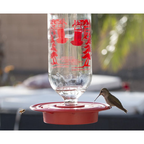 Best-1 32oz Boxed Hummingbird Feeder