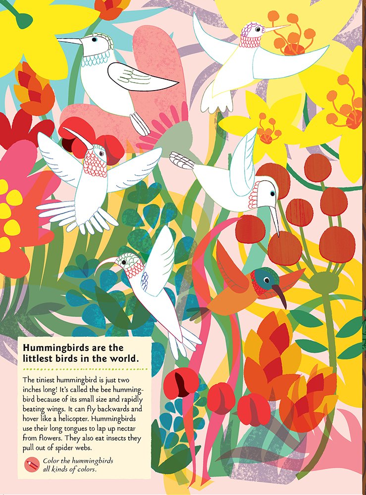 My Nature Sticker Activity Book - Birds of the World