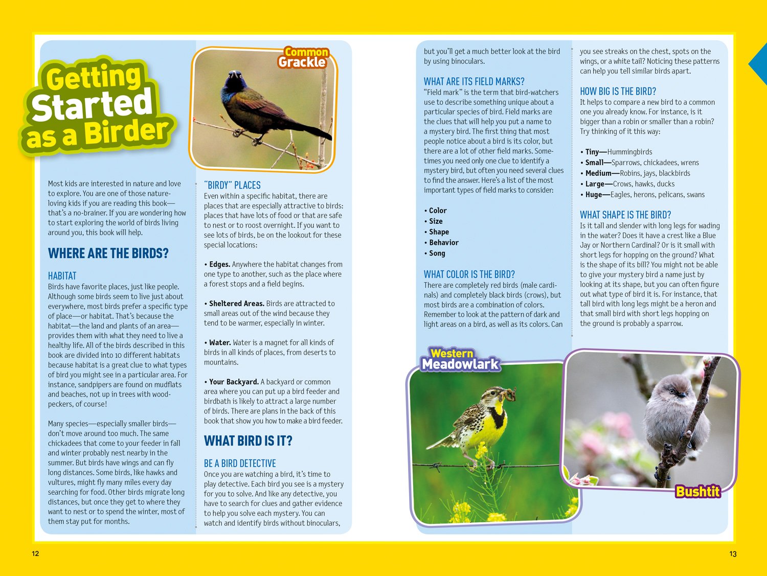National Geographic Kids Bird Guide of North America
