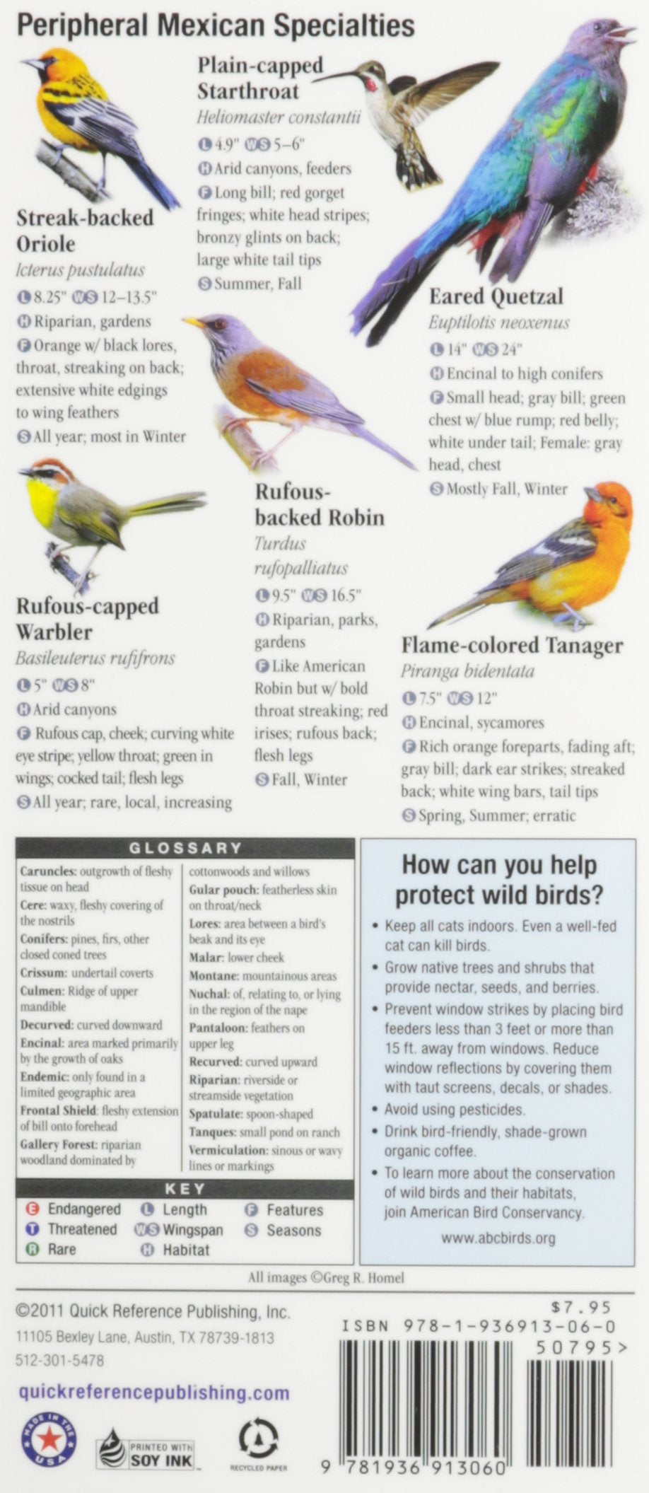 Quick Reference Publishing: Birds of Southeast Arizona