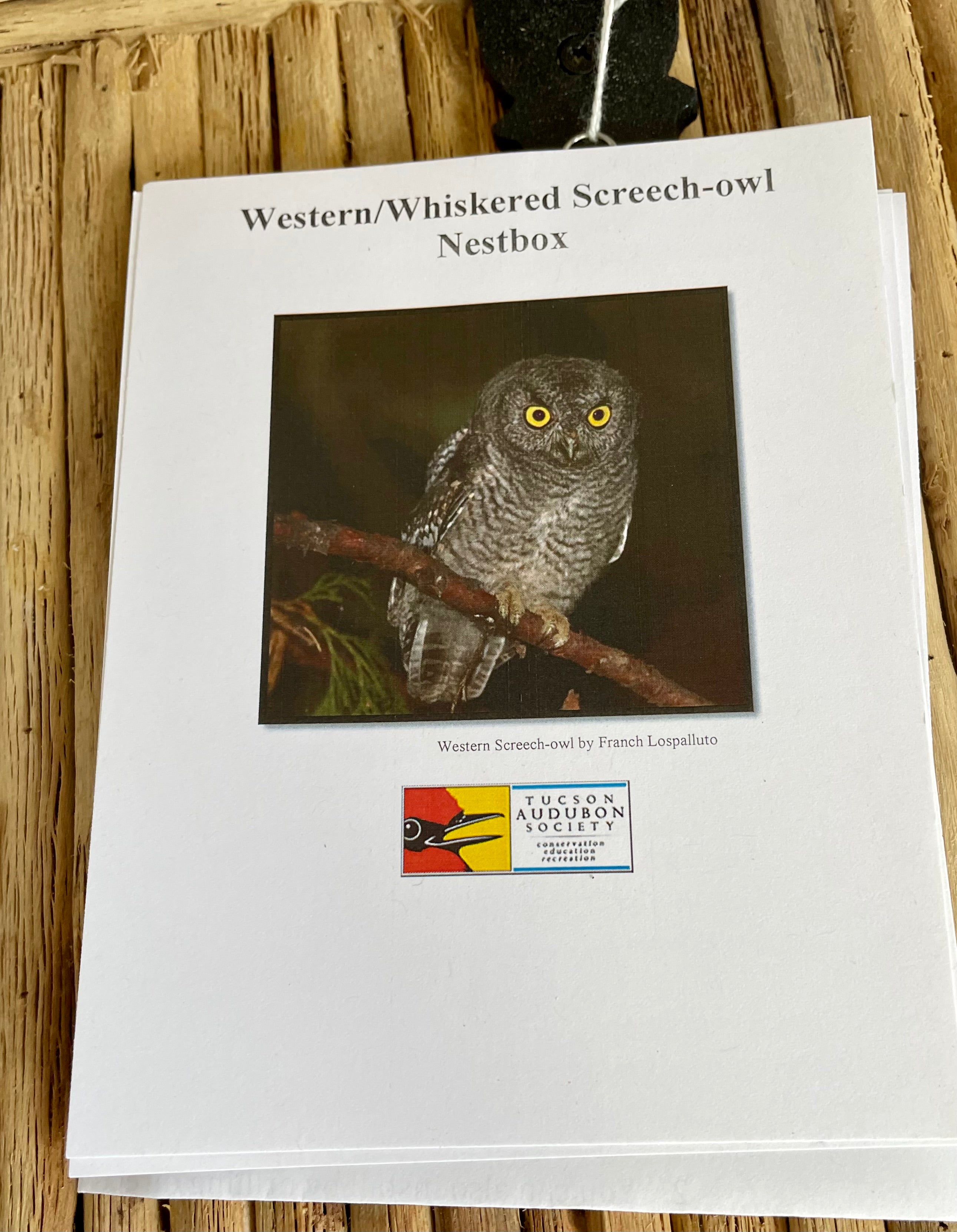 Screech-owl/ Kestrel  Nestbox (Created by Fred Dardis) - Fundraiser