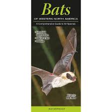 Quick Reference Publishing: Bats of Western North America