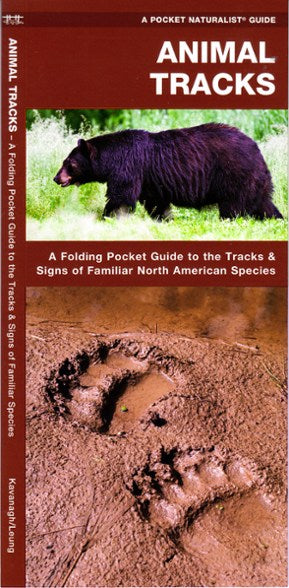 Pocket Naturalist Guide: Animal Tracks