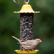 Little-Bit Finch Feeder