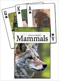 Mammals of the Southwest Playing Cards