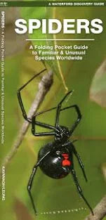 Pocket Naturalist Guides: Spiders